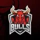 Bocoran Pola Gacor Esports Bull